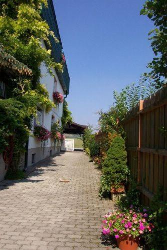Pension Haus Bohm Гумпольдскирхен Экстерьер фото