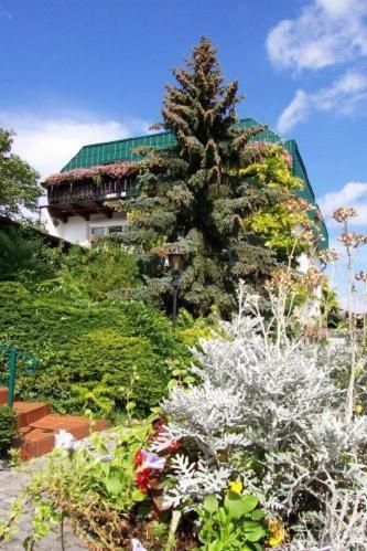 Pension Haus Bohm Гумпольдскирхен Экстерьер фото